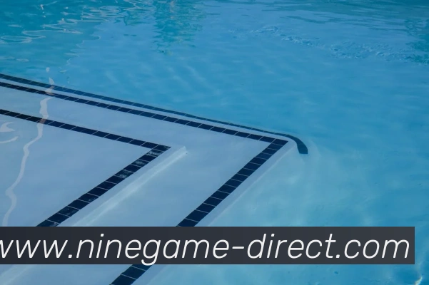 九游官网APP 封面图